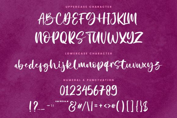 Natusha Bayor Font Poster 5