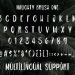 Naughty Font Poster 12