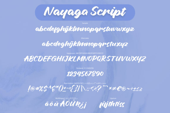 Nayaga Font Poster 5