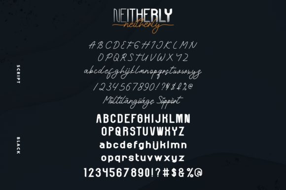 Neitherly Font Poster 9