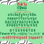 New Class Font Poster 7