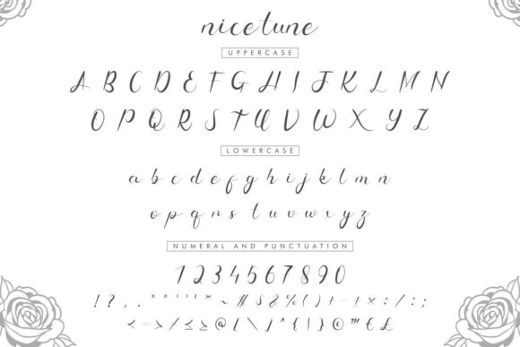 Nice Tune Font Poster 5