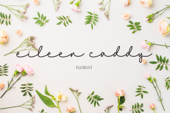 Niceday Font Poster 3