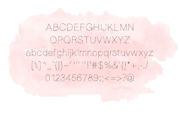 Niedbauy Font Poster 2