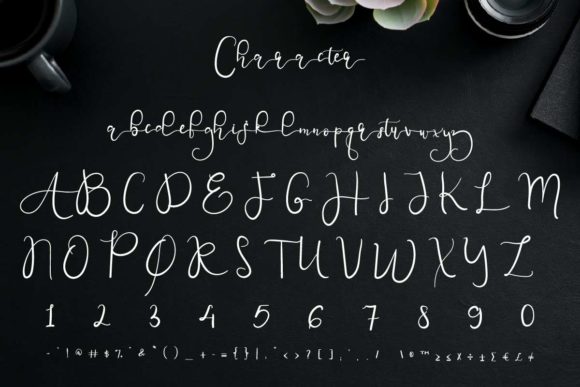 Night Feel Font Poster 10
