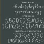 Ninella Font Poster 6