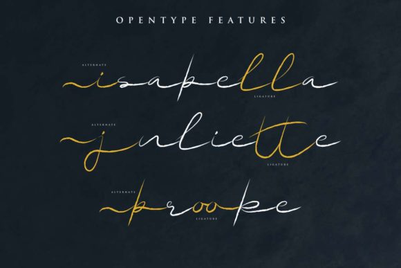 No Offense Font Poster 10