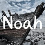 Noah Font Poster 1