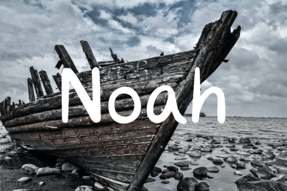 Noah Font Poster 1