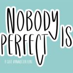 Nobody is Perfect Font Poster 1