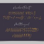Norland Santana Font Poster 6
