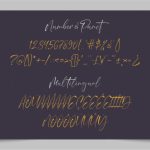 Norland Santana Font Poster 6