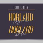 Norland Santana Font Poster 7