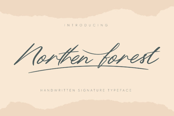 Northern Forest Font Poster 1