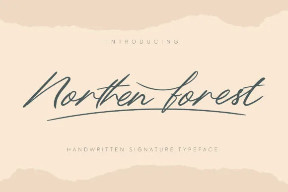 Northern Forest Font Northern Forest Font Poster 1