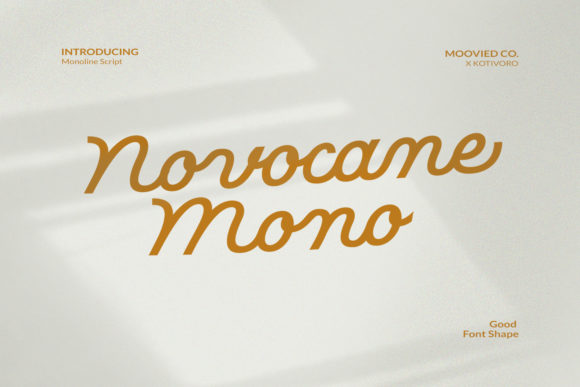 Novocane Mono Font Poster 1