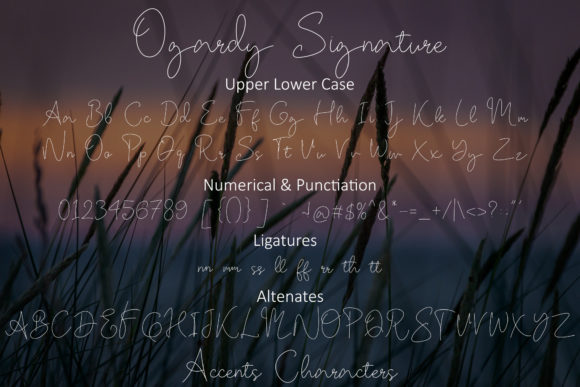 Ogardy Signature Font Poster 6
