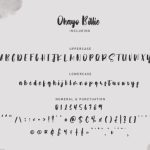 Ohayo Billie Font Poster 6