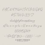 Olioster Font Poster 10