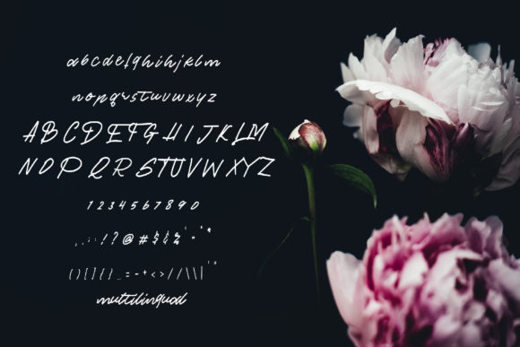Ollus Font Poster 5