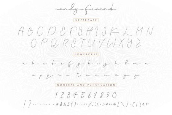 Only Friend Font Poster 5