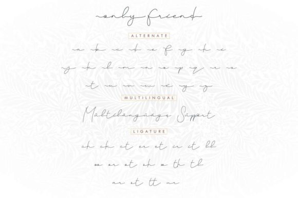 Only Friend Font Poster 8