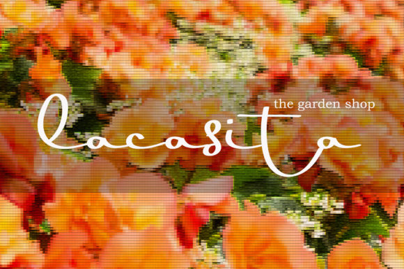 Orange Pumpkin Font Poster 8