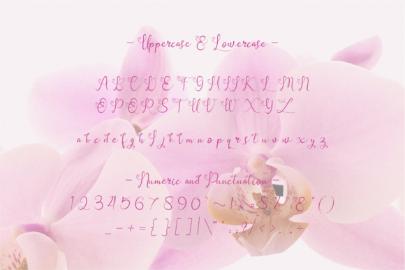 Orchidela Font Poster 10