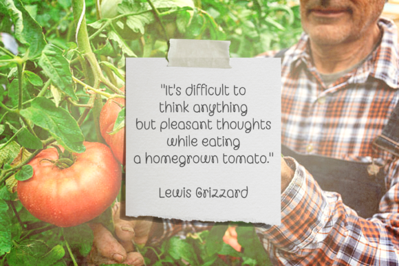 Organic Veggies Font Poster 2
