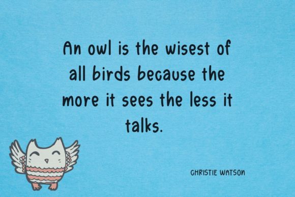 Owl Kids Zone Font Poster 3