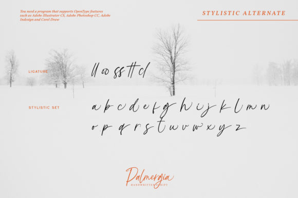 Palmergia Font Poster 3