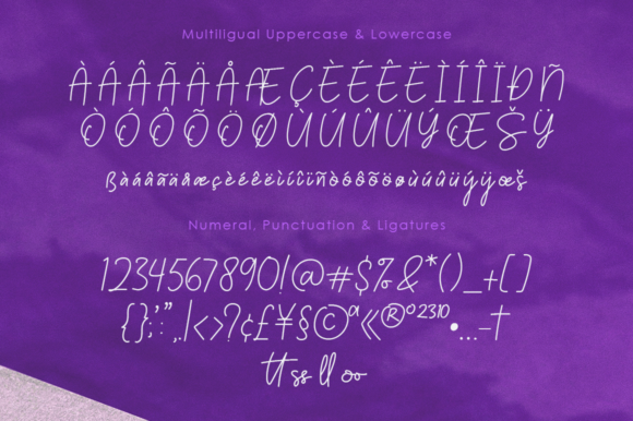 Palmeyra Font Poster 8