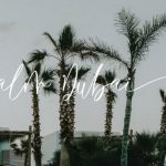 Palmtrees Font Poster 7