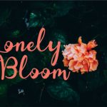 Pamela Font Poster 3