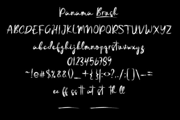 Panama Brush Font Poster 5