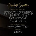 Parachute Signature Font Poster 5