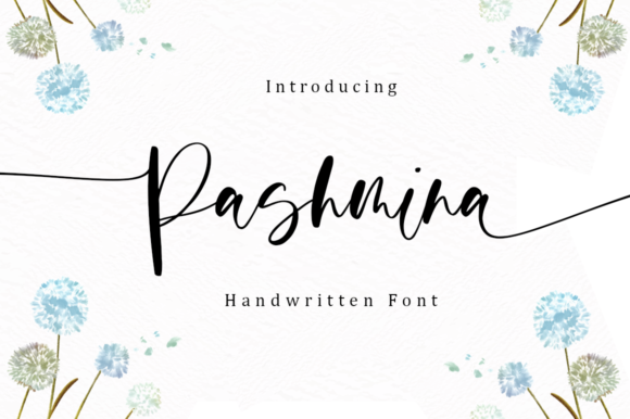 Pashmina Font Poster 1