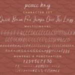 Peace Boy Font Poster 5