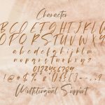 Pejuang Cinta Font Poster 14