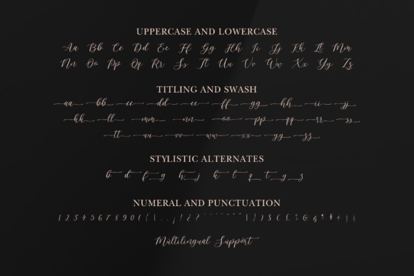 Pelana Font Poster 9