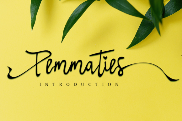 Pemmaties Font