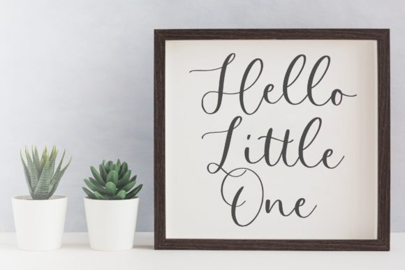 Perfect Garden Font Poster 4