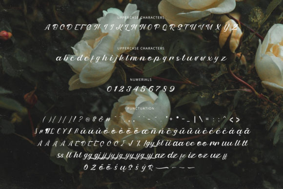 Petter and Sons Font Poster 2