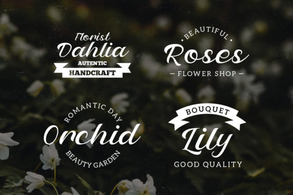 Petter and Sons Font Poster 5