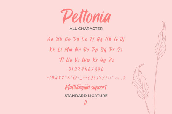Pettonia Font Poster 2