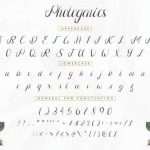 Photogenics Font Poster 5