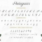 Photogenics Font Poster 5