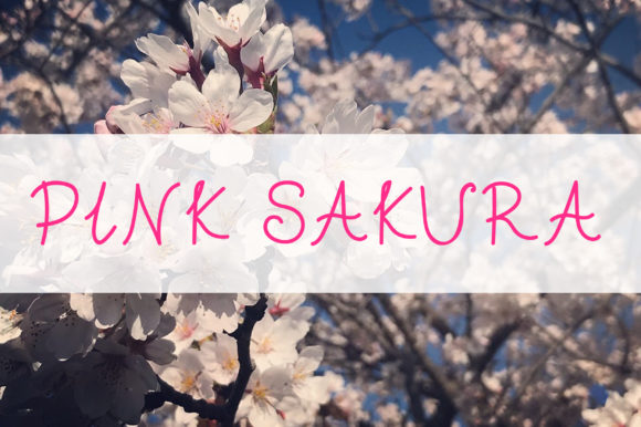 Pink Sakura Font Poster 1