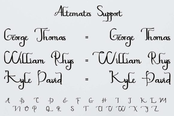 Plaza Avenue Font Poster 11