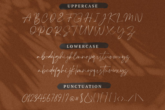 Plumrose Signature Font Poster 3